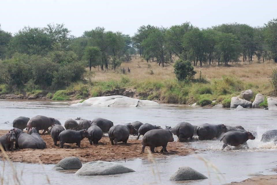 tanzania National Park