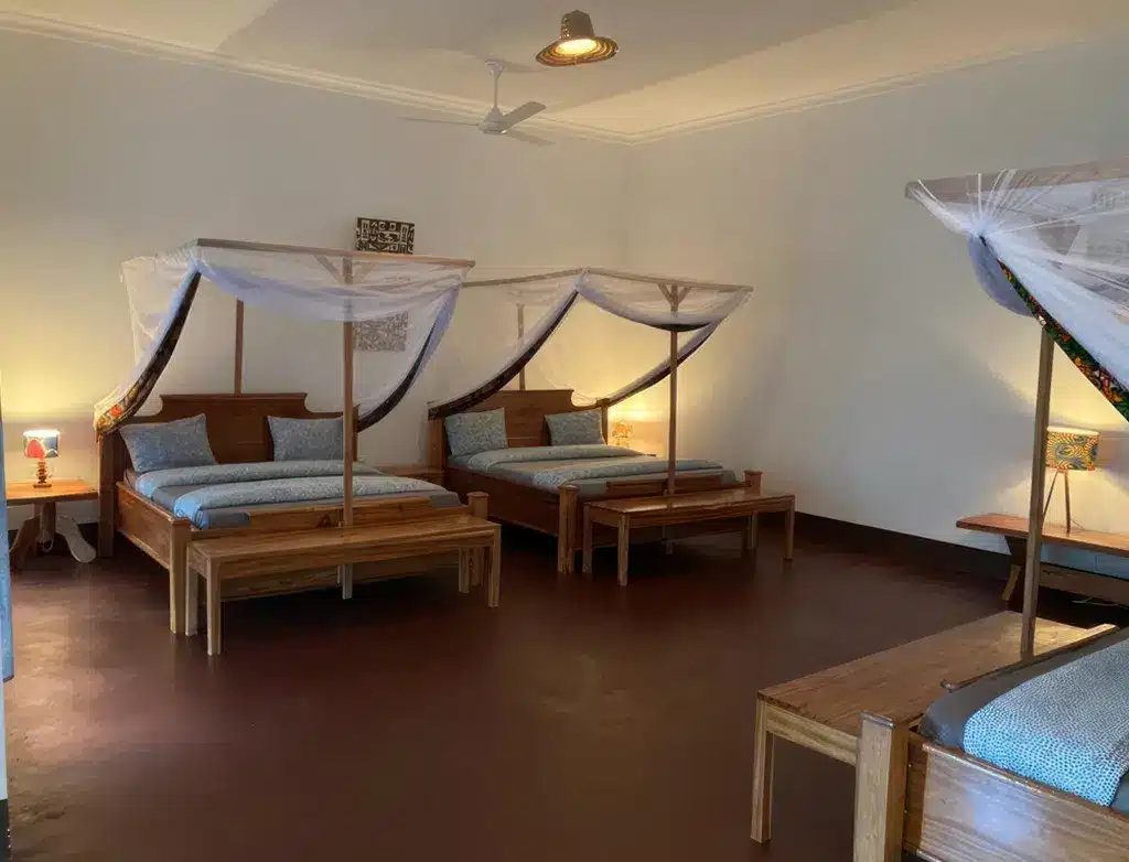 4 Days Tanzania Southern Private Safari