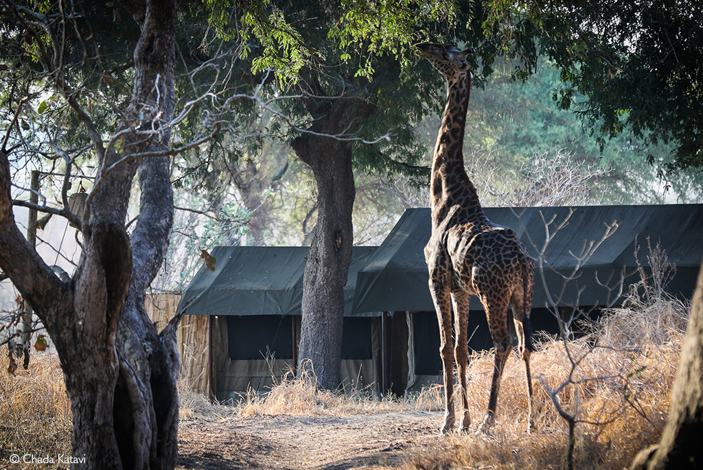 Katavi National Park4