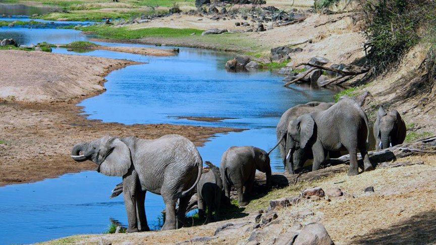 Mikumi National Park