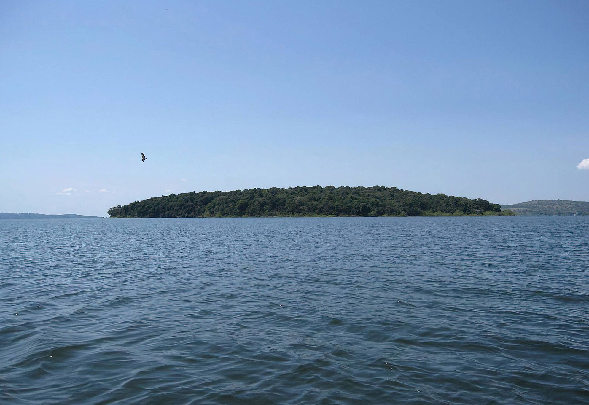 Rubondo_Island_National_Park_x_13