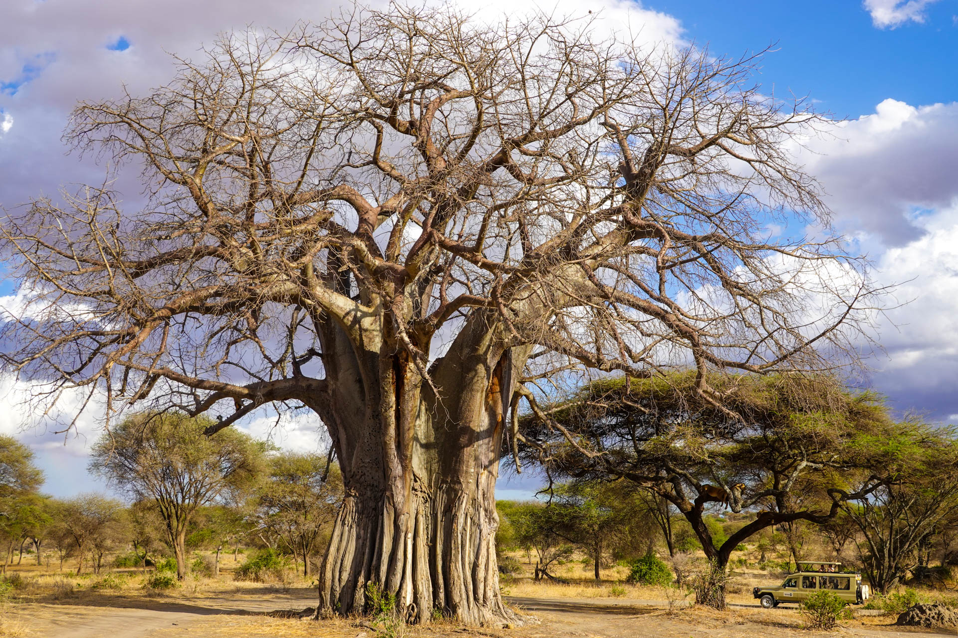 Best-Safari-Vacations-With-Eastland-Adventures-111