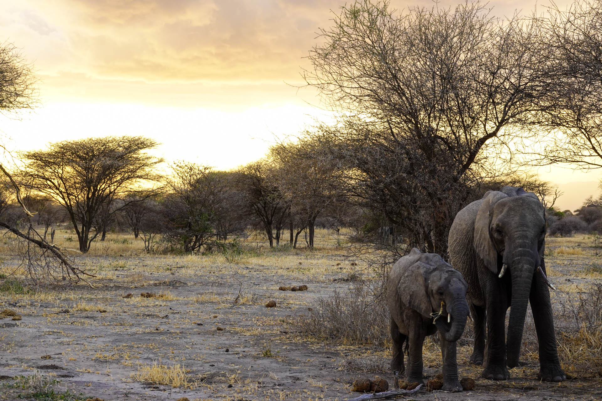 Best-Safari-Vacations-With-Eastland-Adventures-114