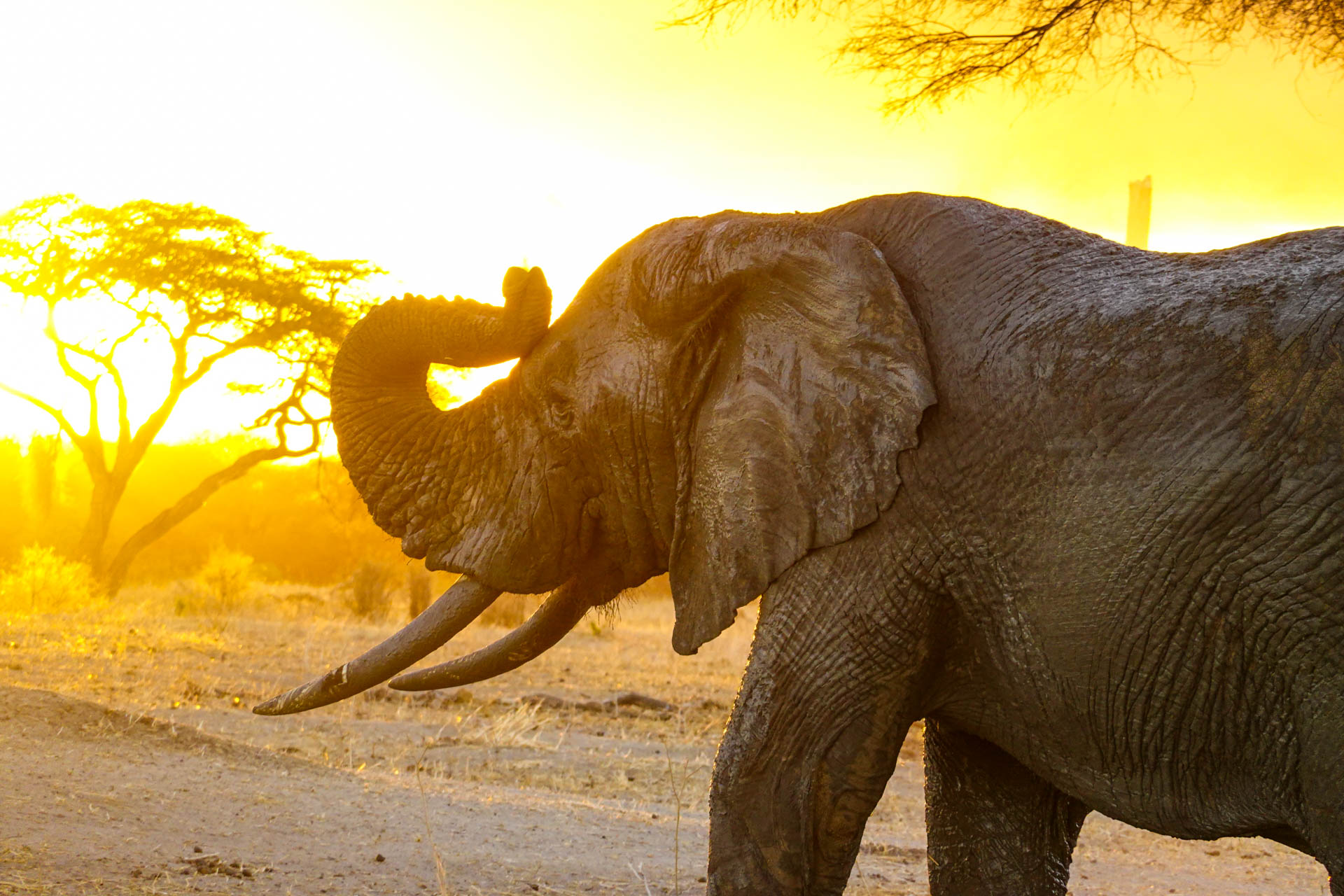 Best-Safari-Vacations-With-Eastland-Adventures-116