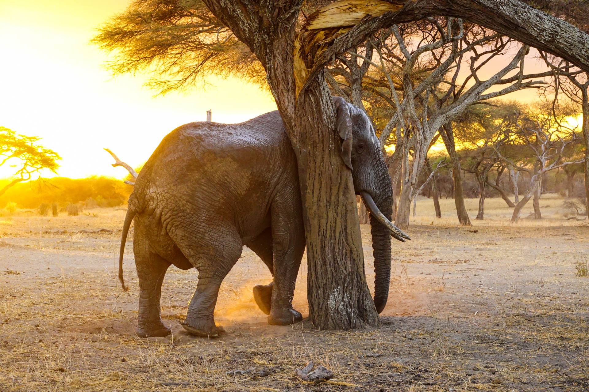 Best-Safari-Vacations-With-Eastland-Adventures-117