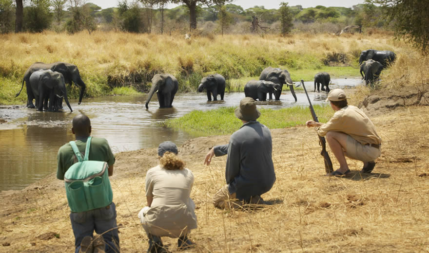 katavi-national-park-walking-safari