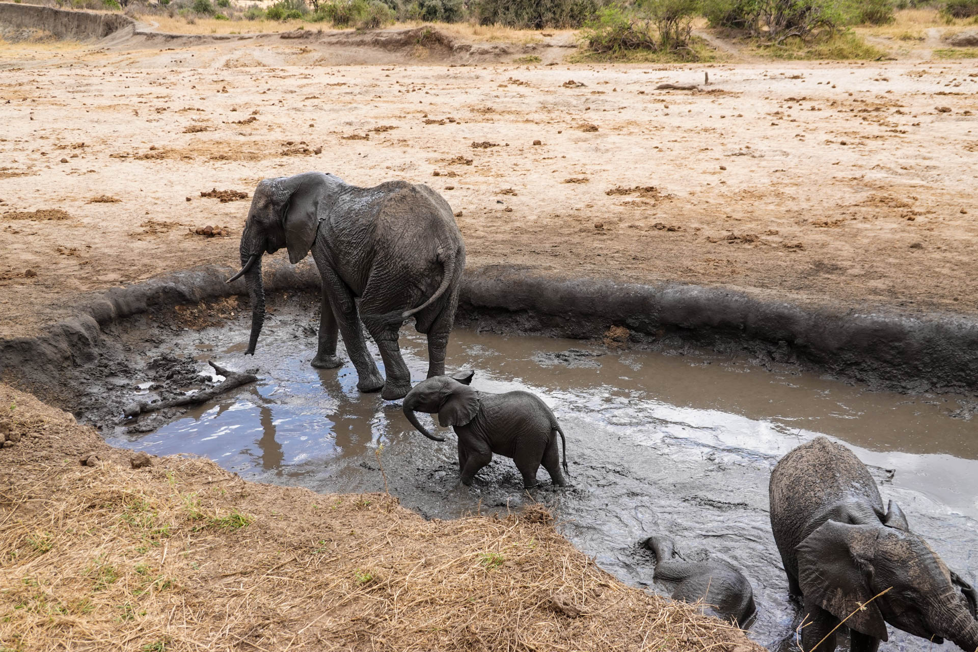 Safari-Holidays-With-Eastland-Adventures-68