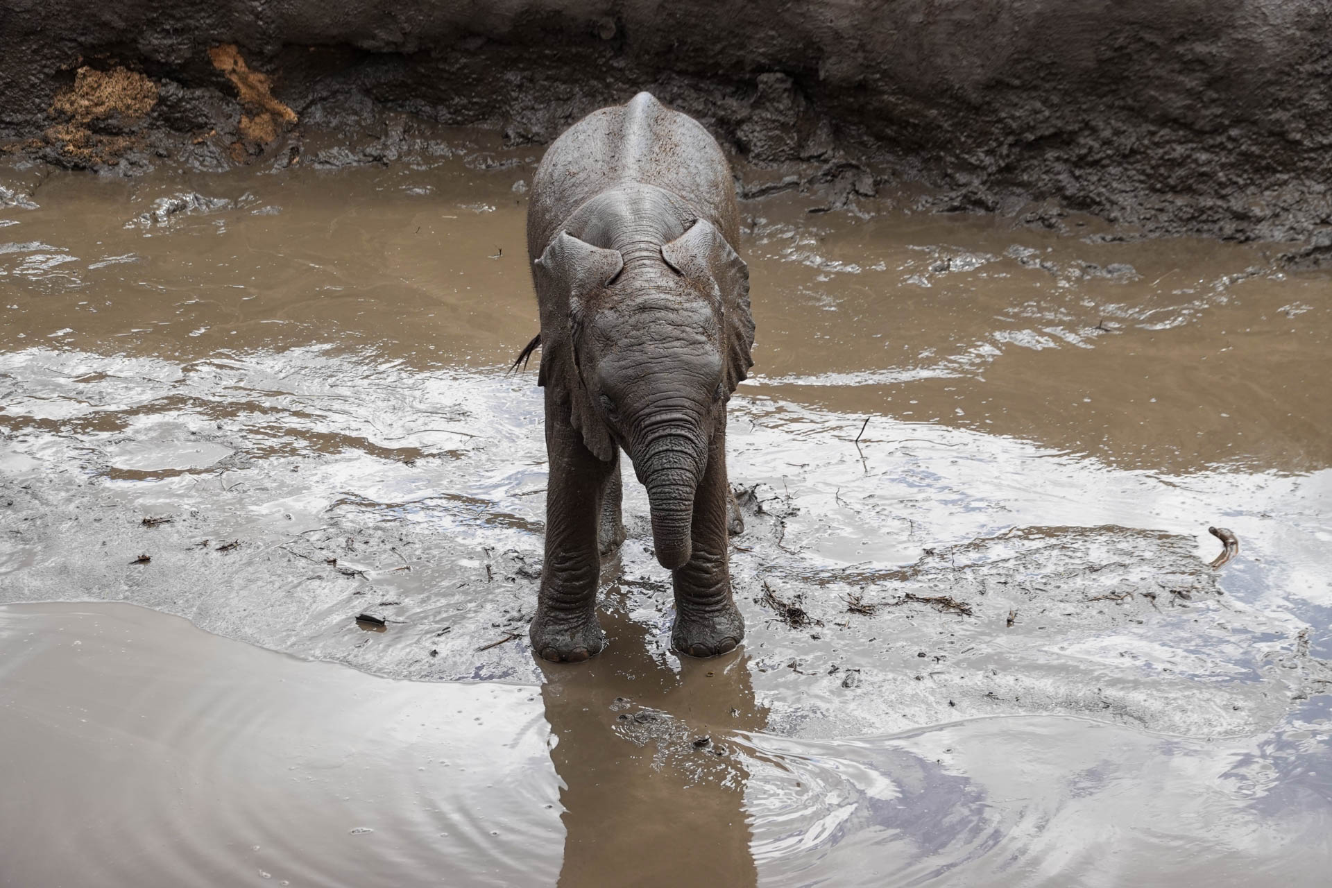 Safari-Holidays-With-Eastland-Adventures-73