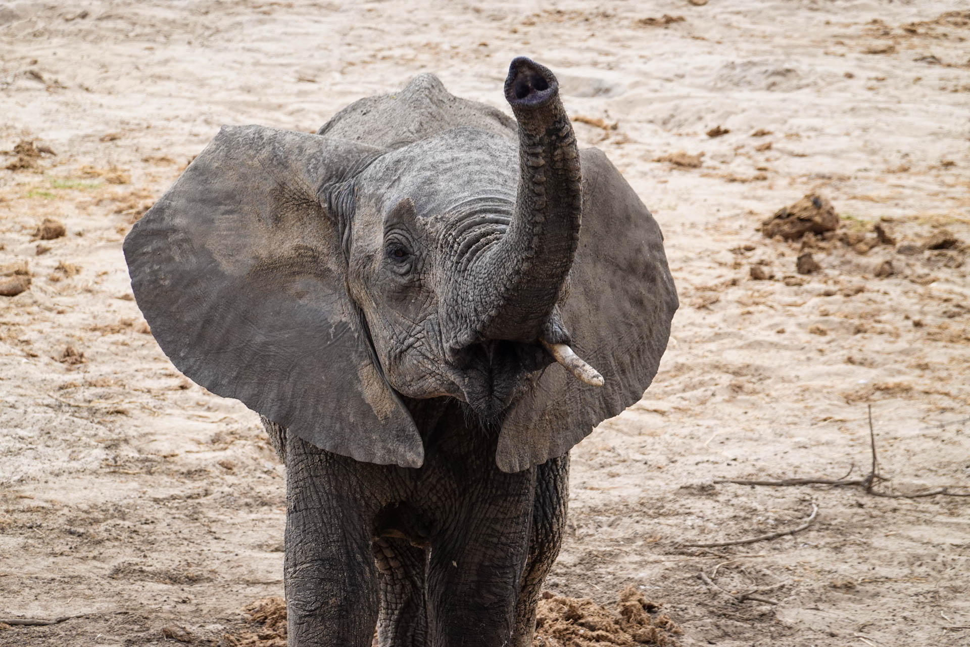 Safari-Holidays-With-Eastland-Adventures-89