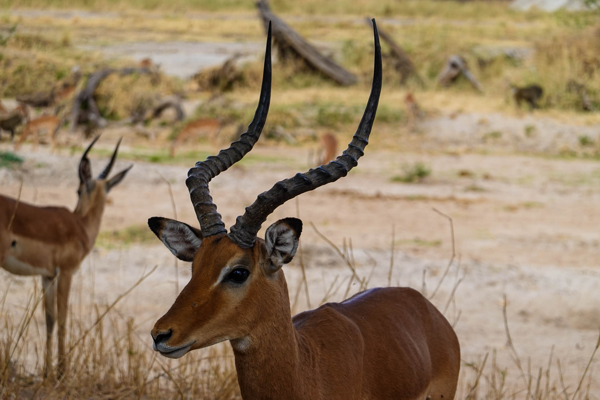Safari-Holidays-With-Eastland-Adventures-97