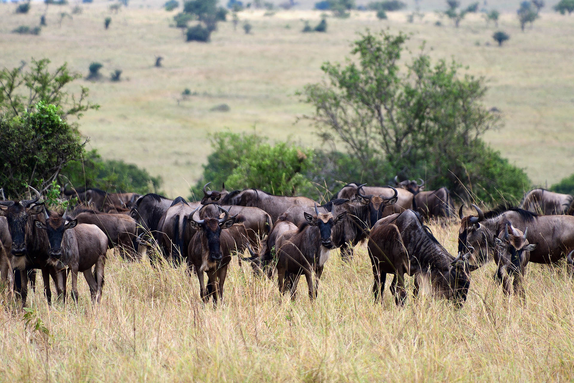 Tanzania-Safari-With-Eastland-Adventures-29