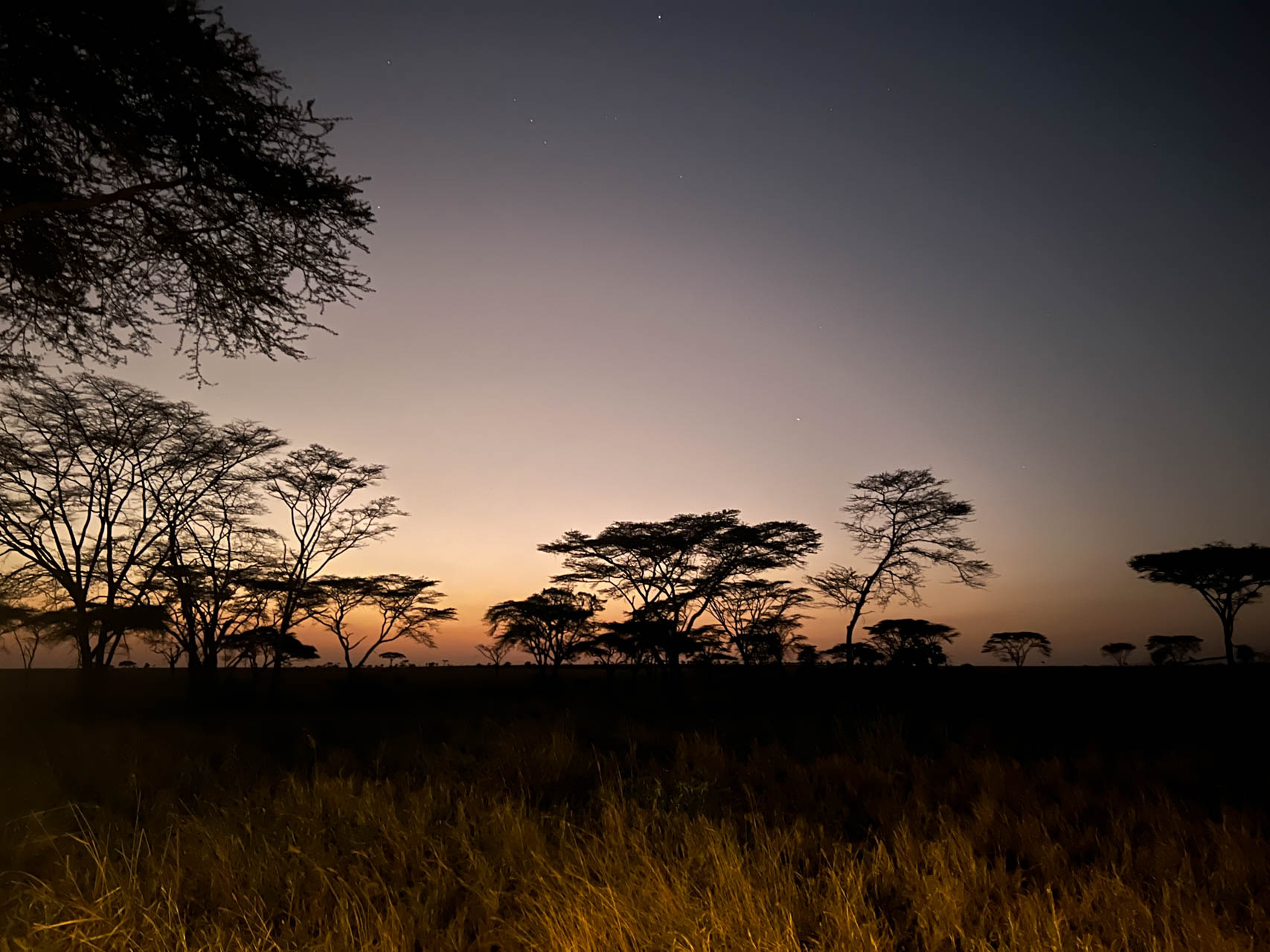 Tanzania-Safari-With-Eastland-Adventures-34