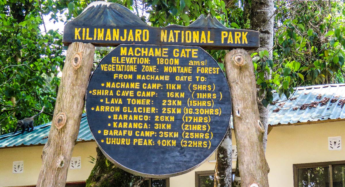 8-Days-Machame-Route-Mount-Kilimanjaro-Trek