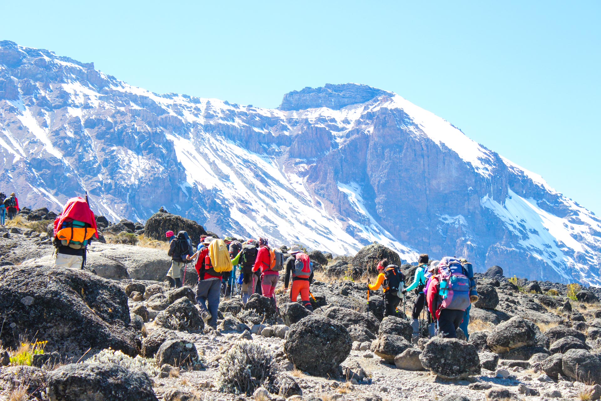 Mount Kilimanjaro Climbing (31)