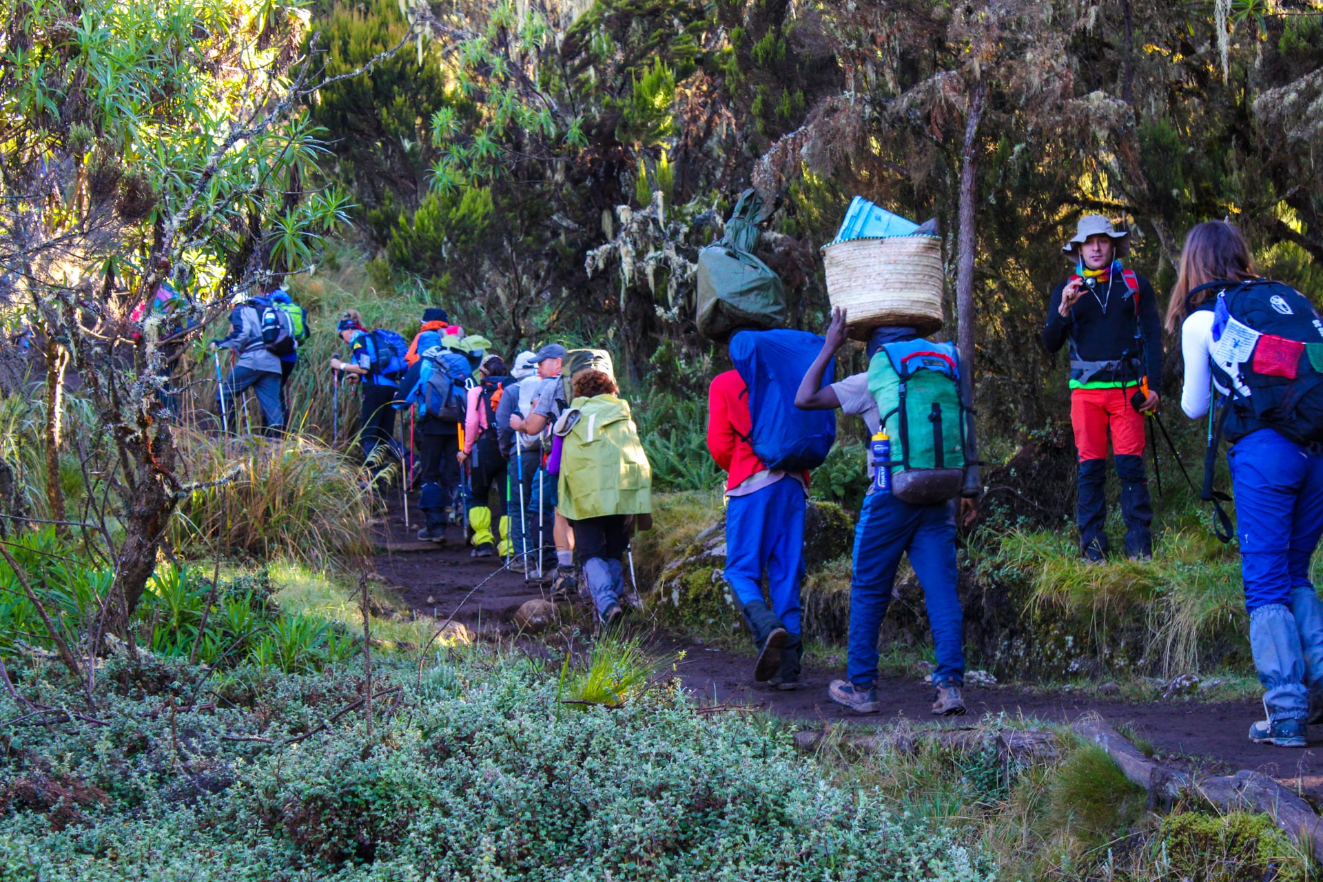 Mount Kilimanjaro Climbing (34)
