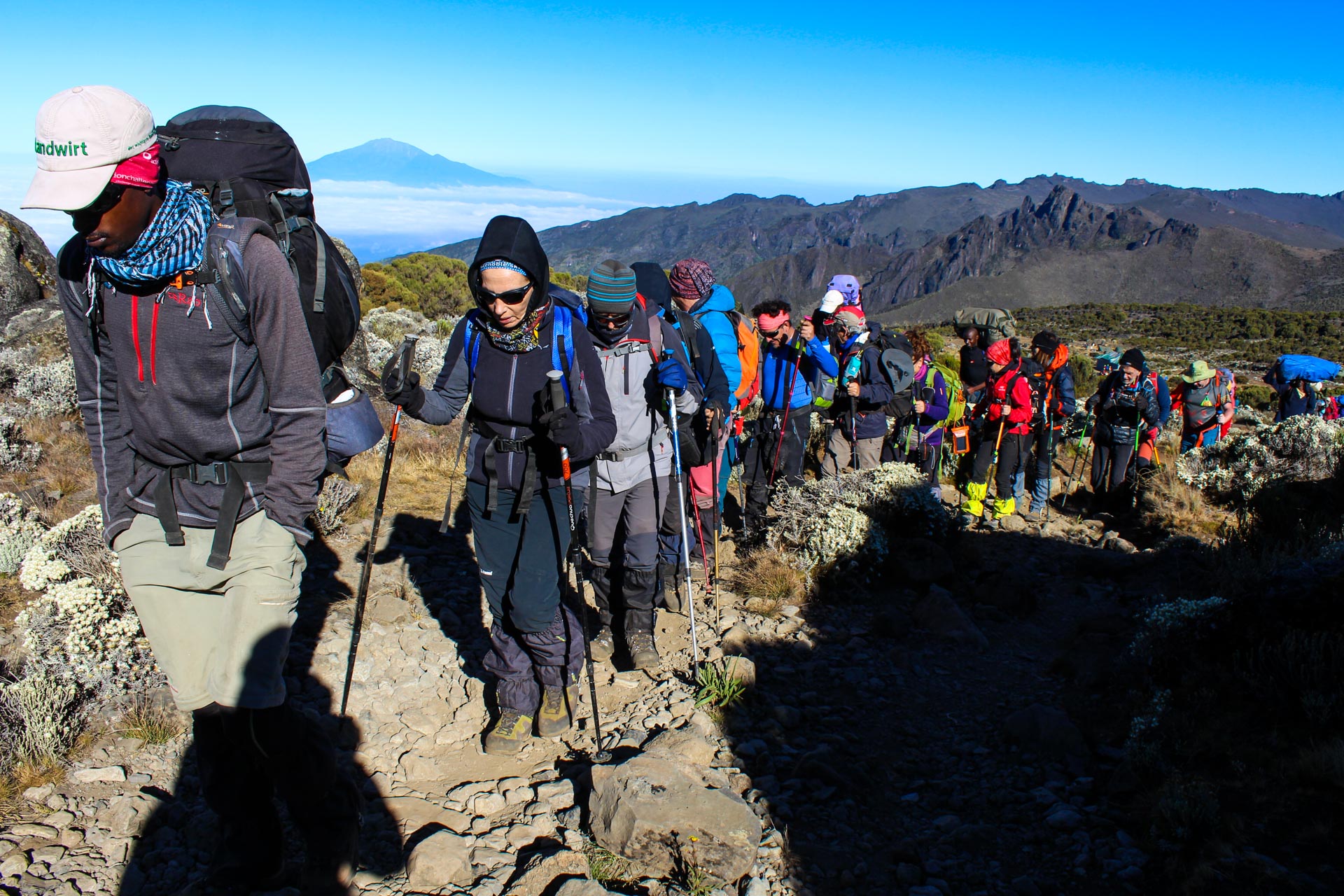 Mount Kilimanjaro Climbing (35)