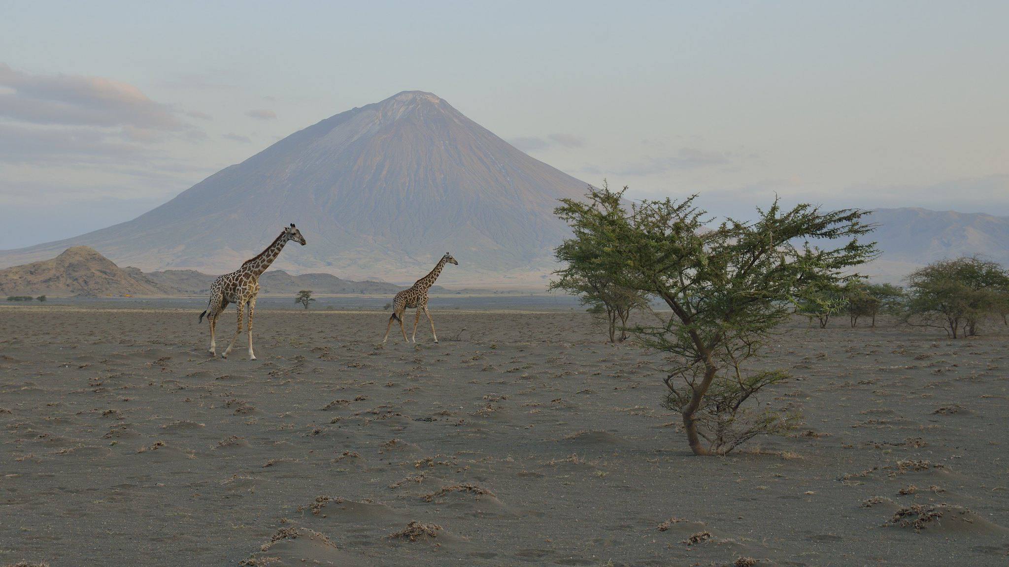 Mount_Oldonyo_Lengai_05