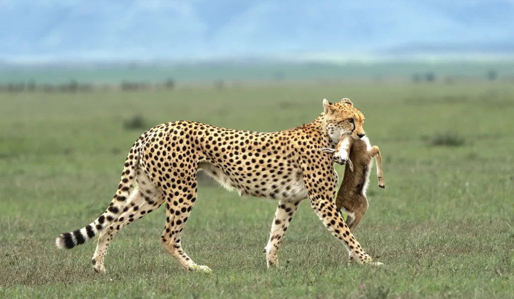 Serengeti National Park