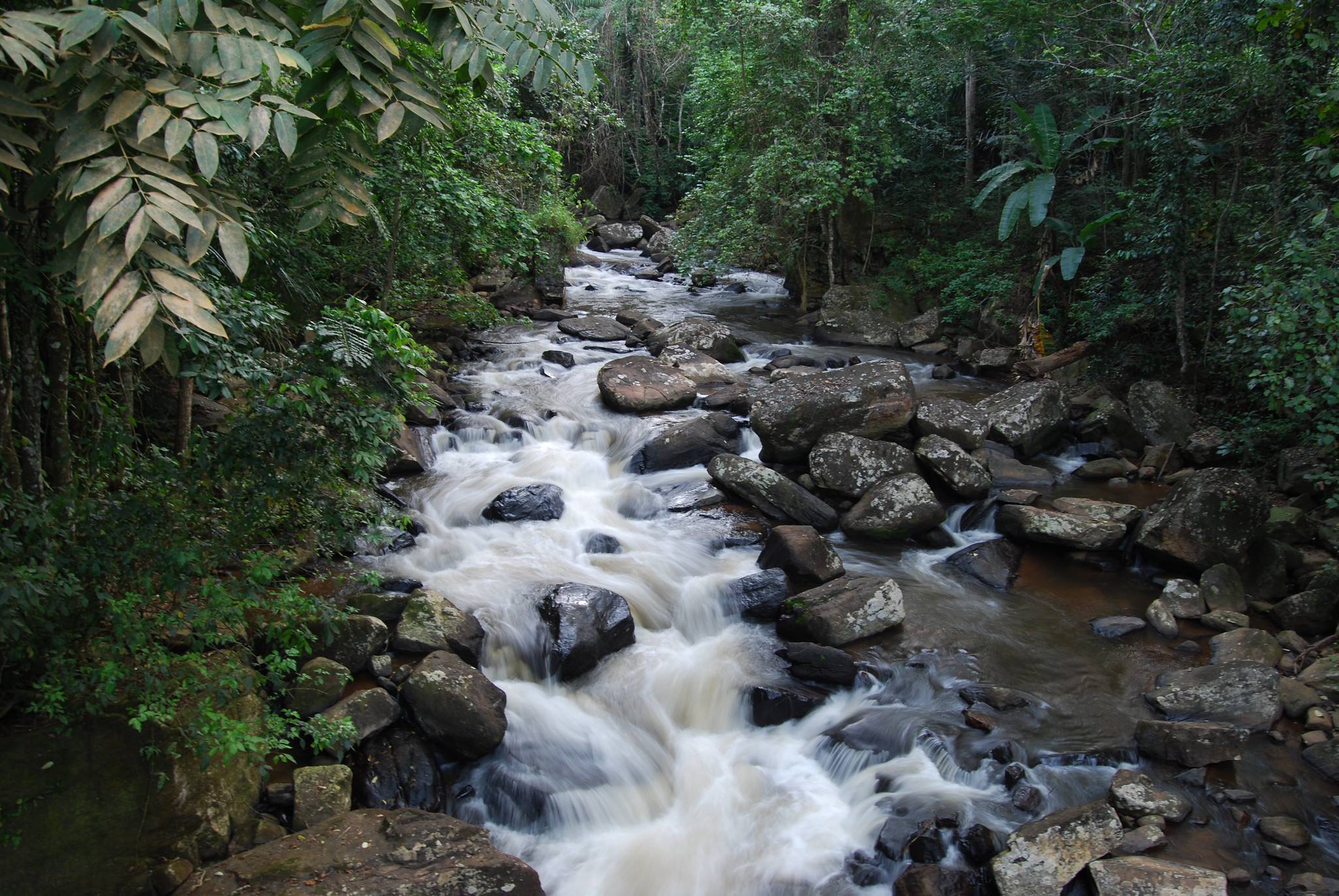 Sigi_River_East_Usambara_1