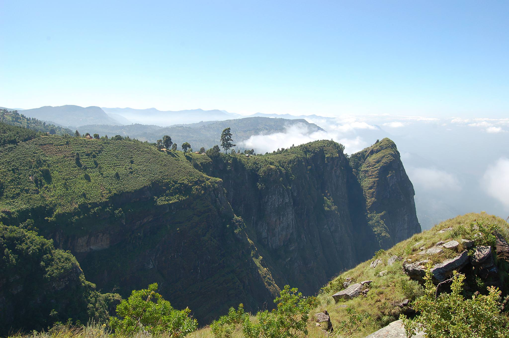 Usambara_Mountains_06