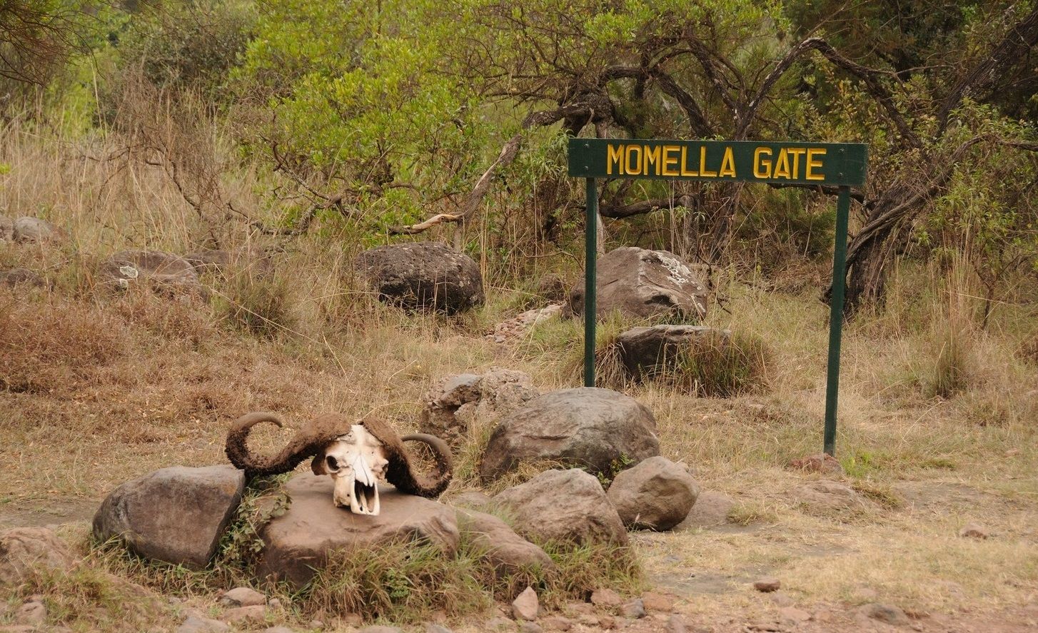 momella-gate-skull